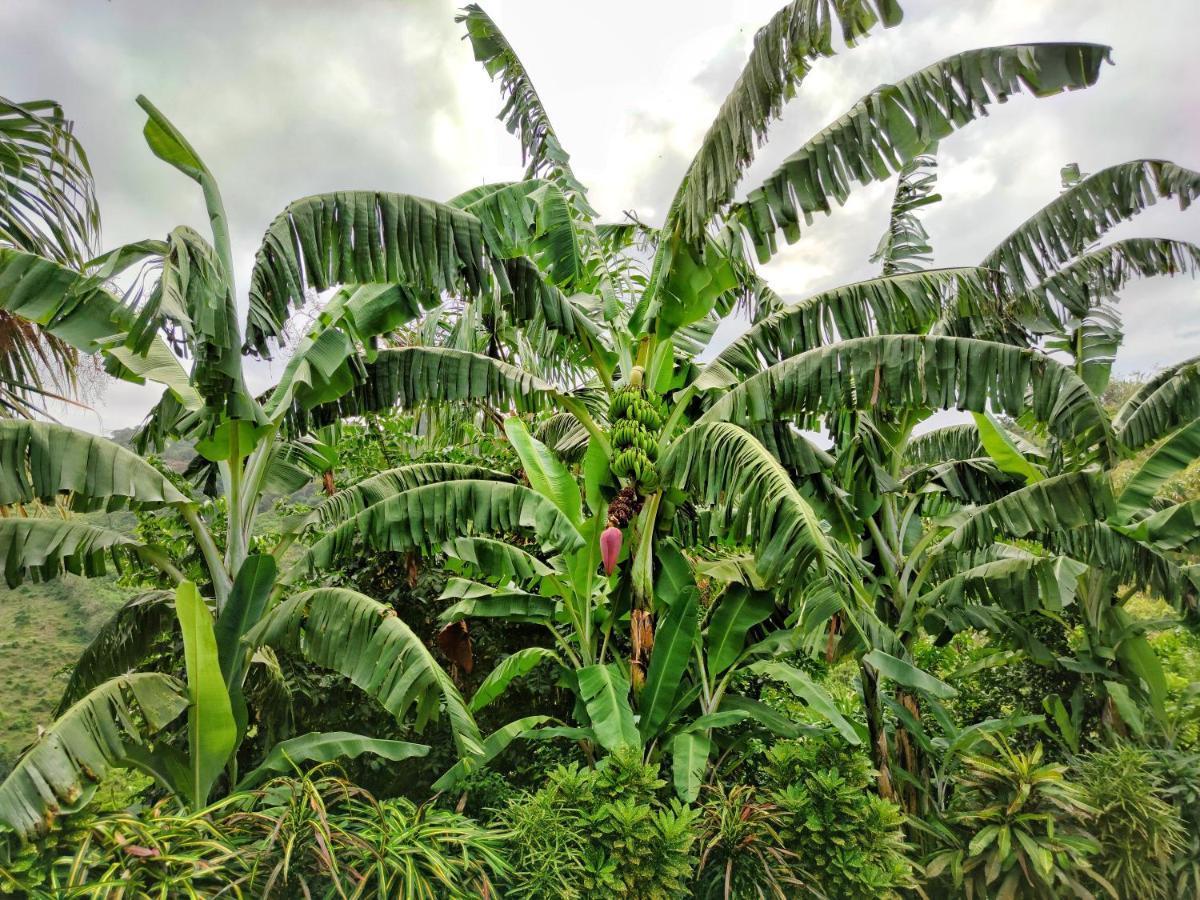 Finca Cuipo บูรีตากา ภายนอก รูปภาพ